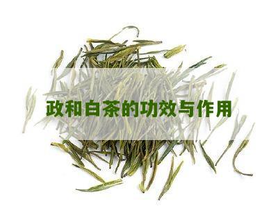 政和白茶的功效与作用