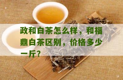 政和白茶怎么样，和福鼎白茶区别，价格多少一斤？