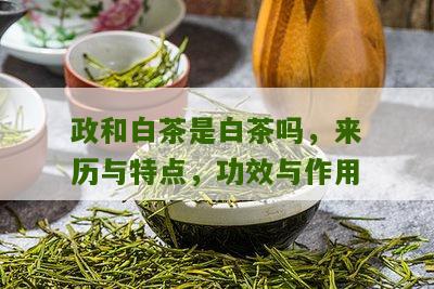 政和白茶是白茶吗，来历与特点，功效与作用