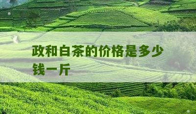 政和白茶的价格是多少钱一斤