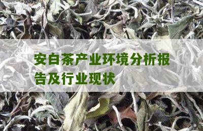 安白茶产业环境分析报告及行业现状