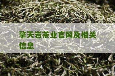 擎天岩茶业官网及相关信息