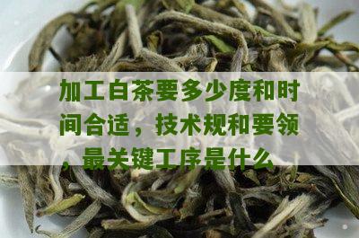 加工白茶要多少度和时间合适，技术规和要领，最关键工序是什么