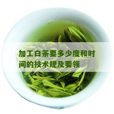 加工白茶要多少度和时间的技术规及要领