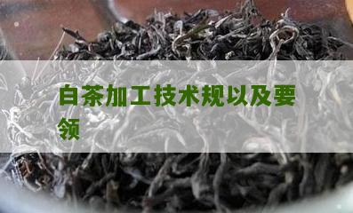 白茶加工技术规以及要领