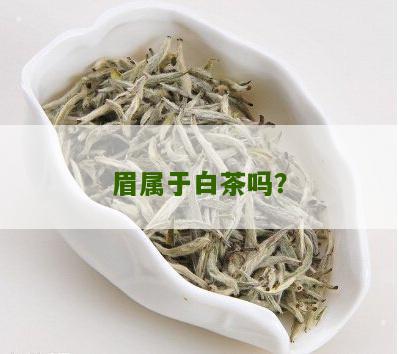 眉属于白茶吗？