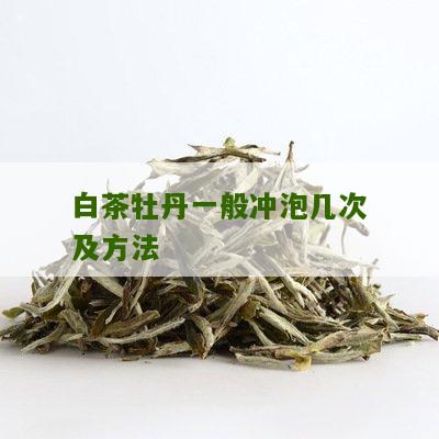 白茶牡丹一般冲泡几次及方法