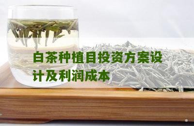 白茶种植目投资方案设计及利润成本