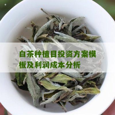 白茶种植目投资方案模板及利润成本分析