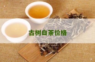 古树白茶价格