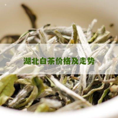 湖北白茶价格及走势