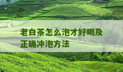 老白茶怎么泡才好喝及正确冲泡方法