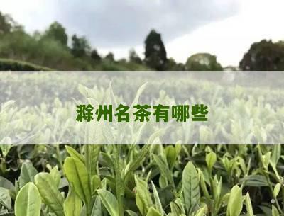 滁州名茶有哪些