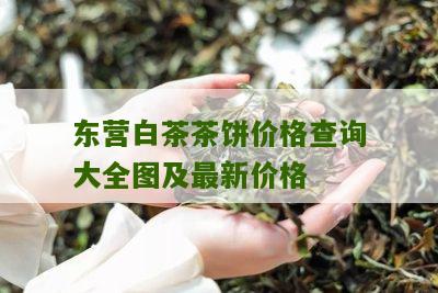 东营白茶茶饼价格查询大全图及最新价格