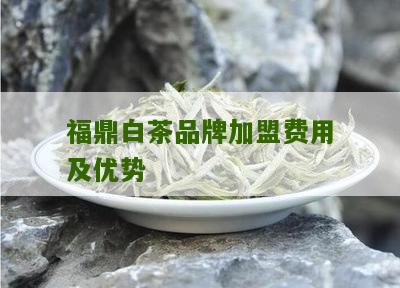 福鼎白茶品牌加盟费用及优势