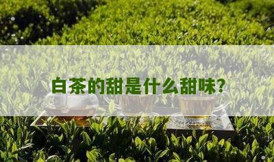 白茶的甜是什么甜味？