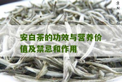 安白茶的功效与营养价值及禁忌和作用