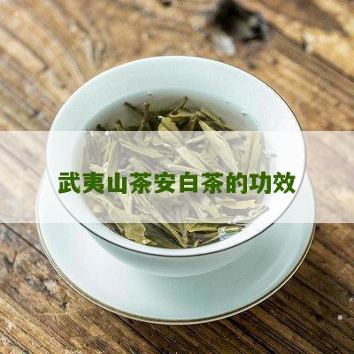 武夷山茶安白茶的功效