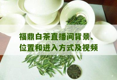 福鼎白茶直播间背景、位置和进入方式及视频