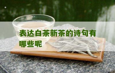 表达白茶新茶的诗句有哪些呢