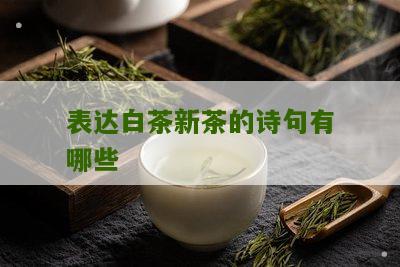 表达白茶新茶的诗句有哪些