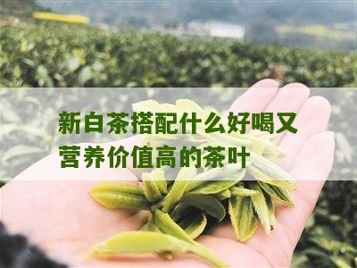 新白茶搭配什么好喝又营养价值高的茶叶