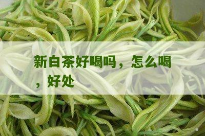 新白茶好喝吗，怎么喝，好处