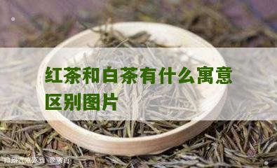 红茶和白茶有什么寓意区别图片