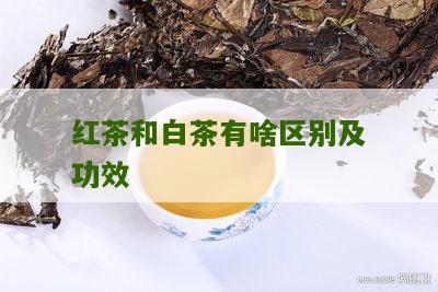 红茶和白茶有啥区别及功效