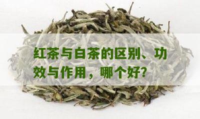 红茶与白茶的区别、功效与作用，哪个好？