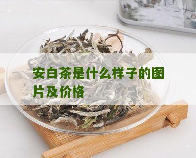 安白茶是什么样子的图片及价格