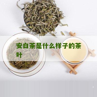 安白茶是什么样子的茶叶