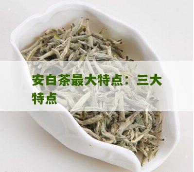 安白茶最大特点：三大特点