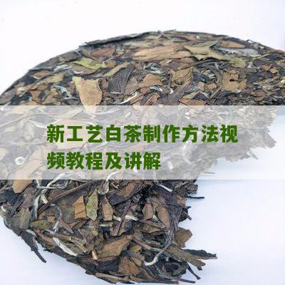 新工艺白茶制作方法视频教程及讲解