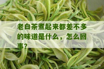 老白茶煮起来都差不多的味道是什么，怎么回事？