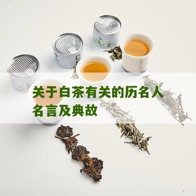 关于白茶有关的历名人名言及典故