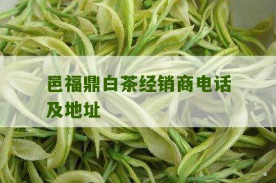 邑福鼎白茶经销商电话及地址