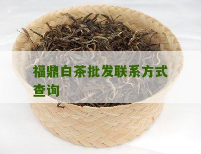 福鼎白茶批发联系方式查询