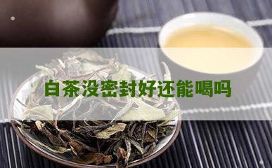 白茶没密封好还能喝吗