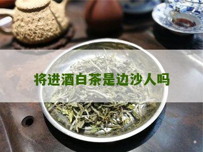 将进酒白茶是边沙人吗