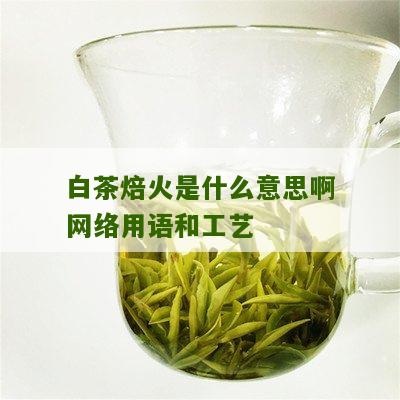 白茶焙火是什么意思啊网络用语和工艺