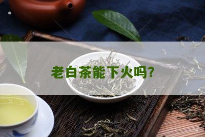 老白茶能下火吗？