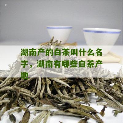 湖南产的白茶叫什么名字，湖南有哪些白茶产地