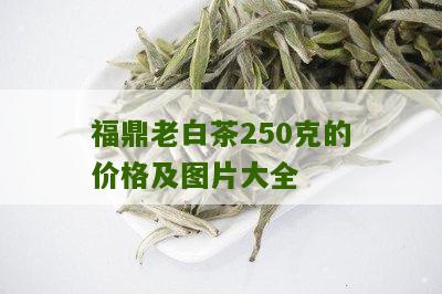 福鼎老白茶250克的价格及图片大全