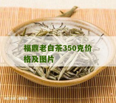 福鼎老白茶350克价格及图片