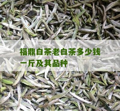 福鼎白茶老白茶多少钱一斤及其品种