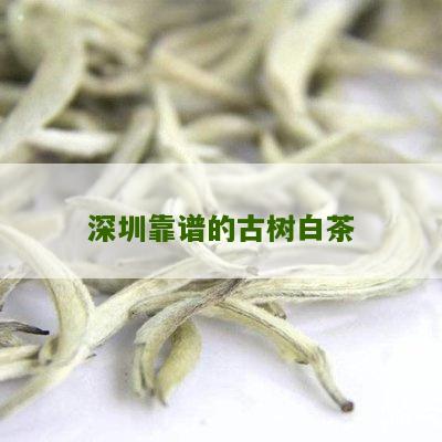 深圳靠谱的古树白茶