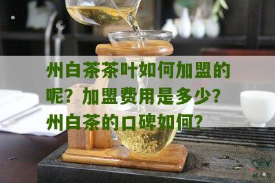 州白茶茶叶如何加盟的呢？加盟费用是多少？州白茶的口碑如何？