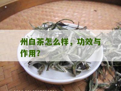 州白茶怎么样，功效与作用？