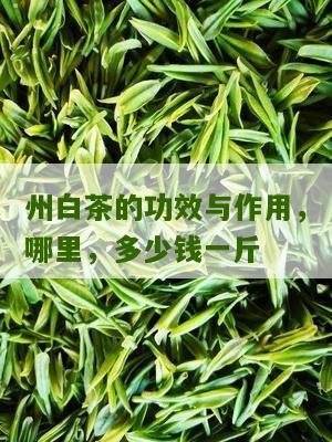 州白茶的功效与作用，哪里，多少钱一斤